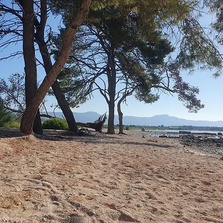 شقة Penthouse Marcelina In *